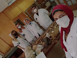 Miembros de Egipto que participaron en el congreso  internacional de Criminología sin Fronteras 2021 (Online )