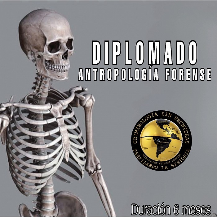 DIPLOMADO INTERNACIONAL